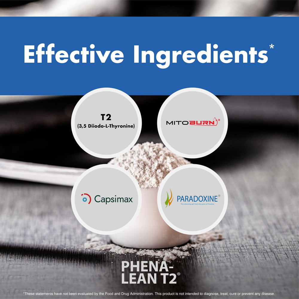 Brown Seaweed Extract illustration for thyroid and hormone health