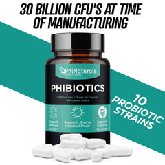 Lactobacillus salivarius illustration for PhiNaturals probiotics