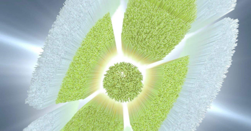 Brush head compatibility with DiamondClean handle and models