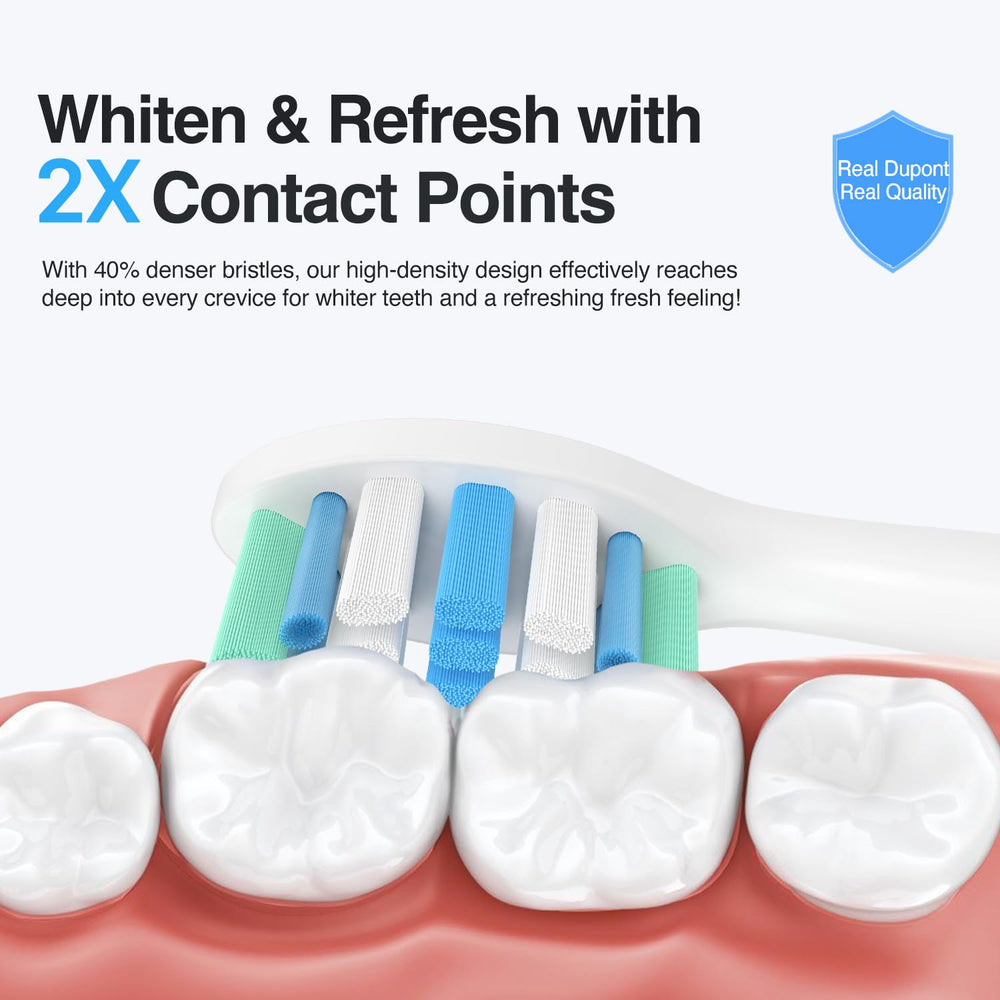 DuPont end-rounded bristles for gentle brushing