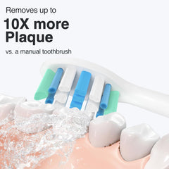 DuPont end-rounded bristles for gentle brushing