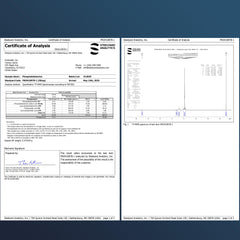 Athlete training and recovery concept highlighting cognitive support