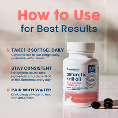 Illustration of phospholipid-bound omega-3s