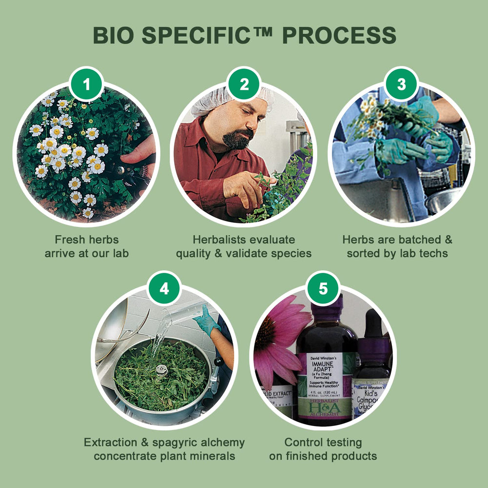 Made in the USA by Herbalist & Alchemist in New Jersey