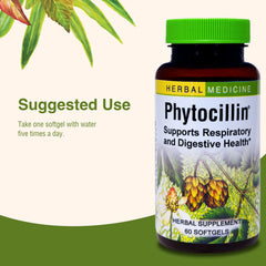 Phytocillin capsules spilling from bottle