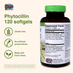 Digestive support ingredients in Phytocillin