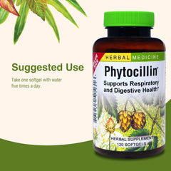 Quality sourcing and herbal formulation of Phytocillin