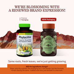 Phytocillin softgels 120-count close-up