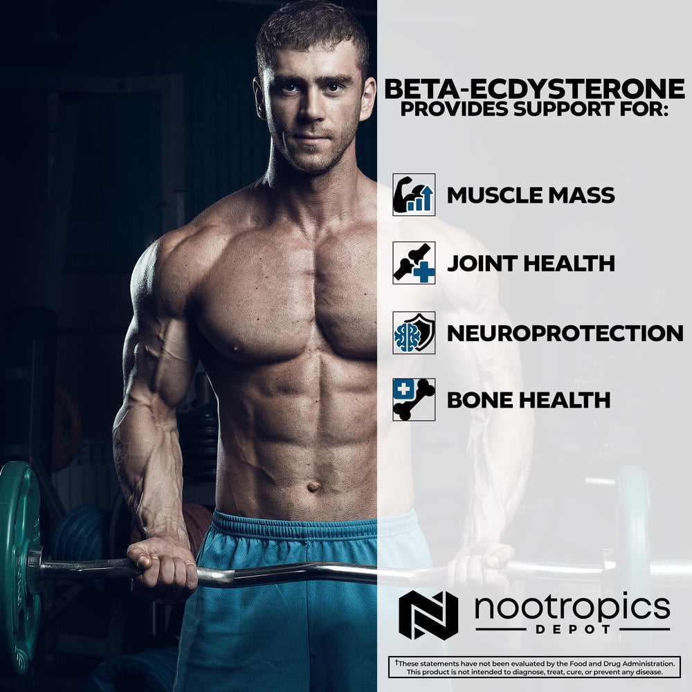 Phytoecdysteroid benefits graphic for strength and muscle growth