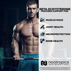 Phytoecdysteroid benefits graphic for strength and muscle growth