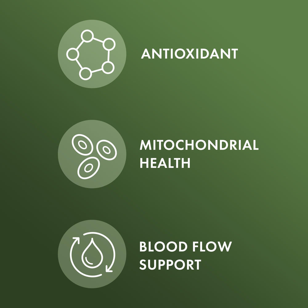 Close-up of pine bark extract tablets showing 60% procyanidins