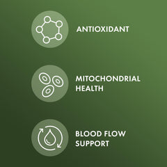 Close-up of pine bark extract tablets showing 60% procyanidins