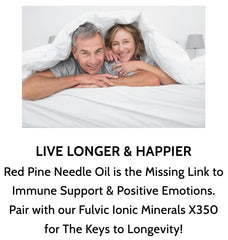 Pinus densiflora oil capsules on white background