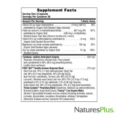 Illustration of pine bark extract used in the formula