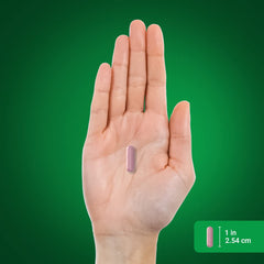 Therapeutic grade beet root capsules - Piping Rock