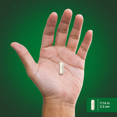 Product photo: Boswellia Extract packaging and bottle