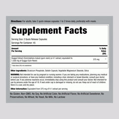 Piping Rock concentrated extract guggul bottle underscores potent herbal formulation.