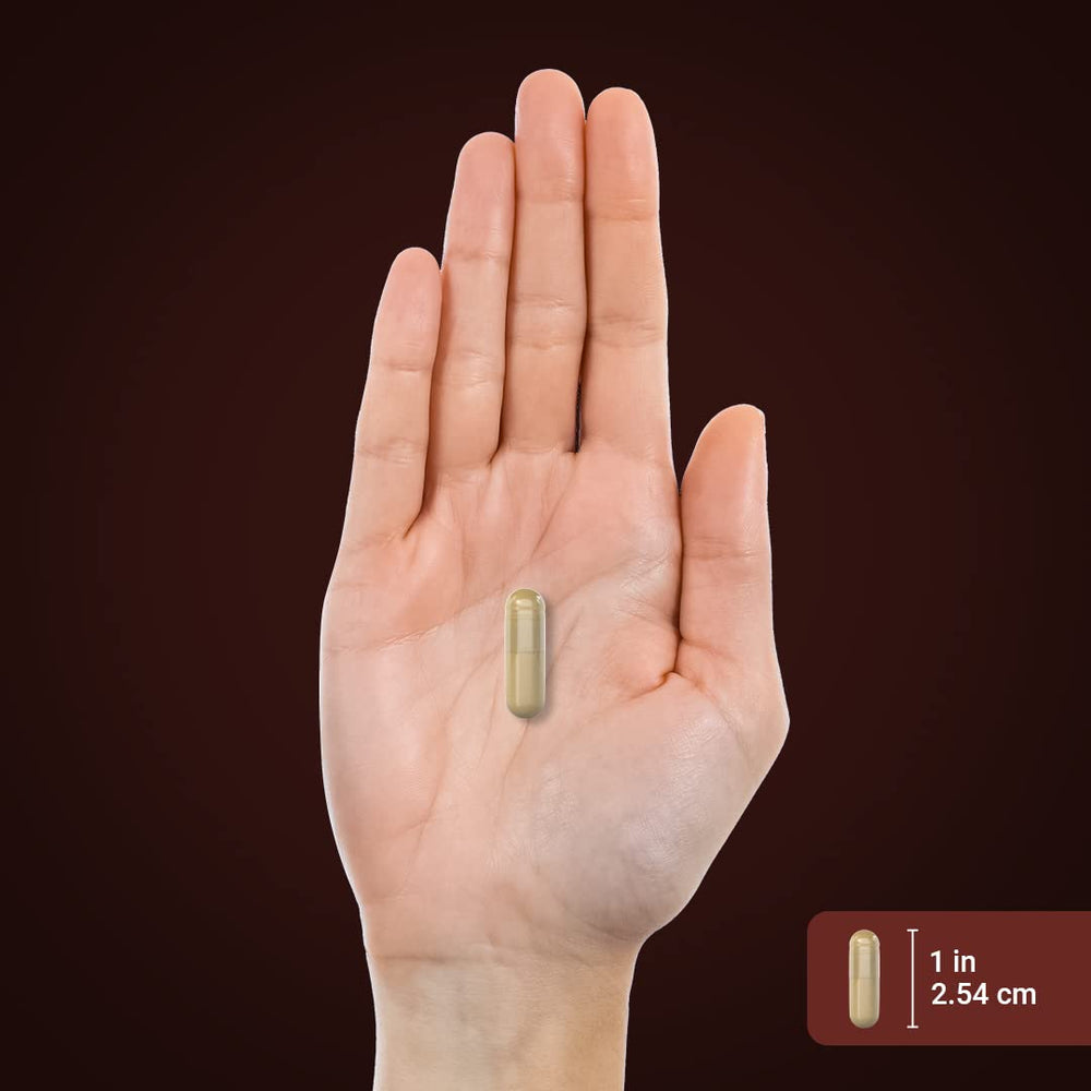 Supplement facts panel