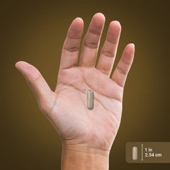 Piping Rock Lions Mane product packaging box with bottle