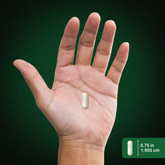 Bottle with green and gold design