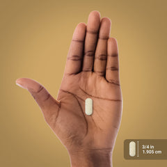 Laboratory-tested Pancreatin Digestive Enzymes ingredients list