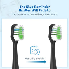 Pisonicleara replacement toothbrush heads 8-pack
