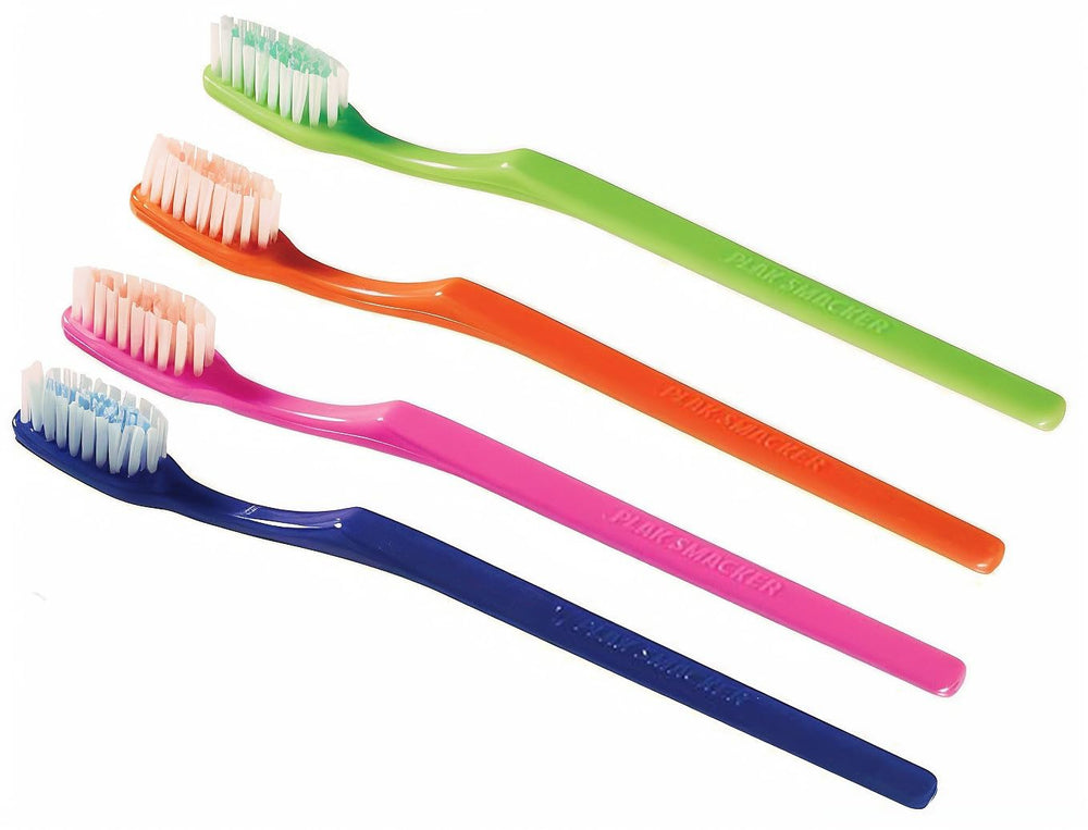 Mintburst prepasted toothbrushes in assorted colors, 36-pack, individually wrapped.