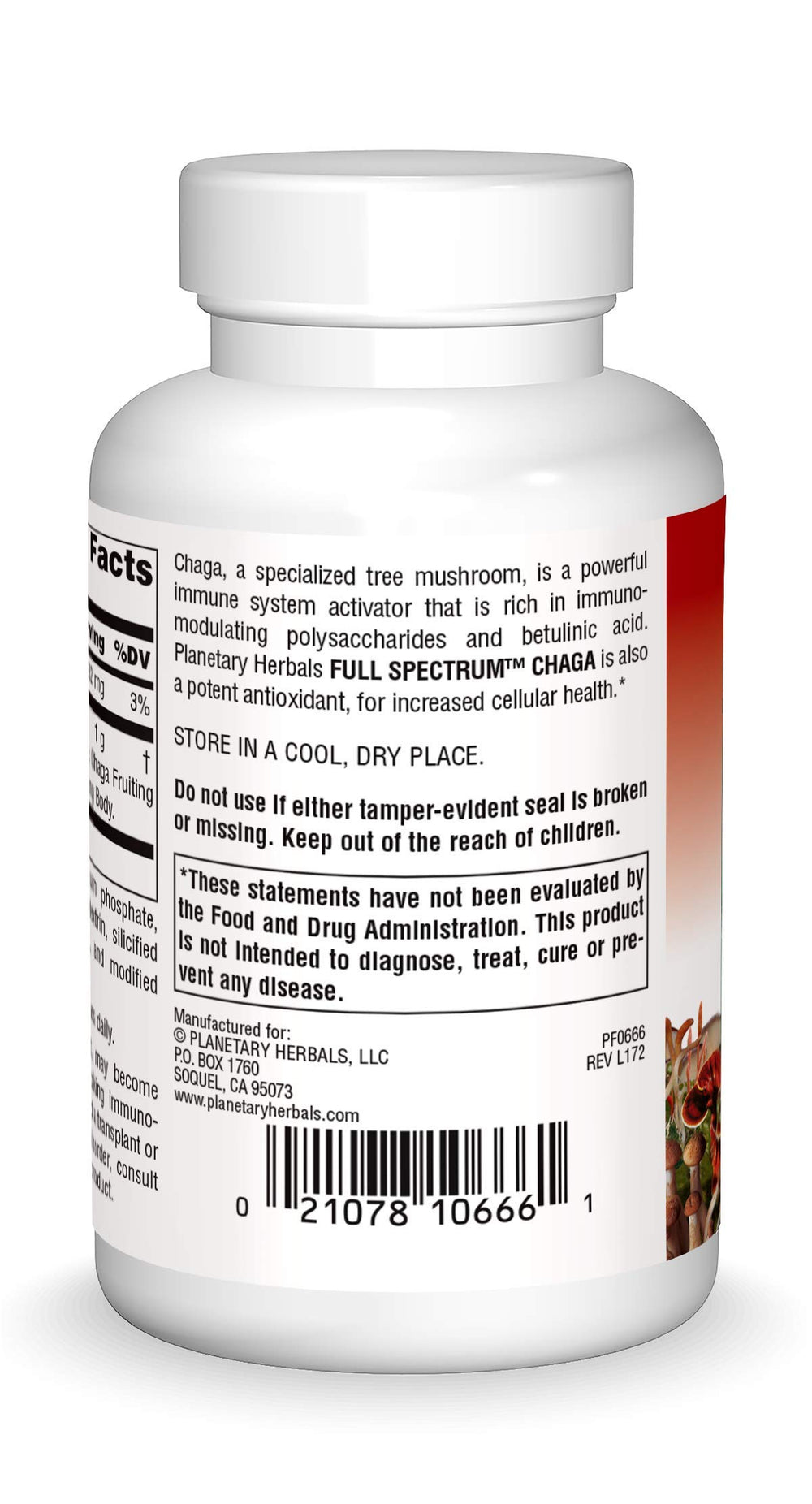 Chaga Full Spectrum capsules close-up