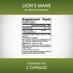 Brain health support with Lion's Mane