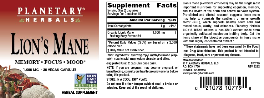 Close-up of vegan Lion's Mane capsules