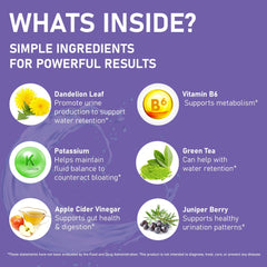 PlanP GMP-certified facility seal signals quality control