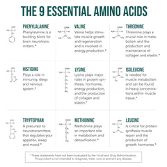 List of BCAA and non-essential amino acids in Plant Aminos