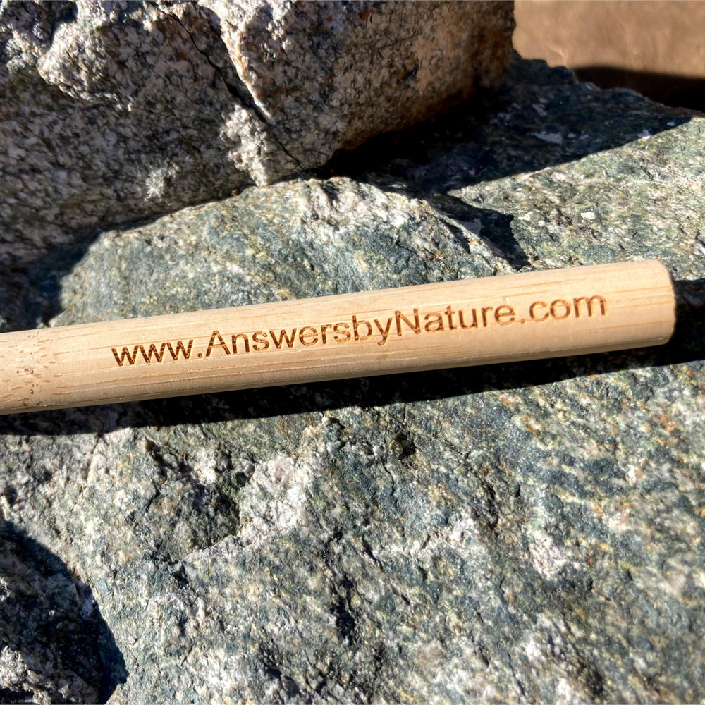 Plant-based biodegradable materials used in bristles