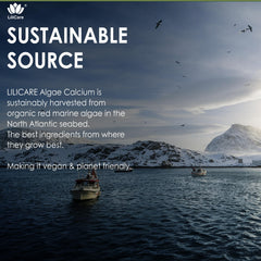 Sustainably sourced red algae calcium branding