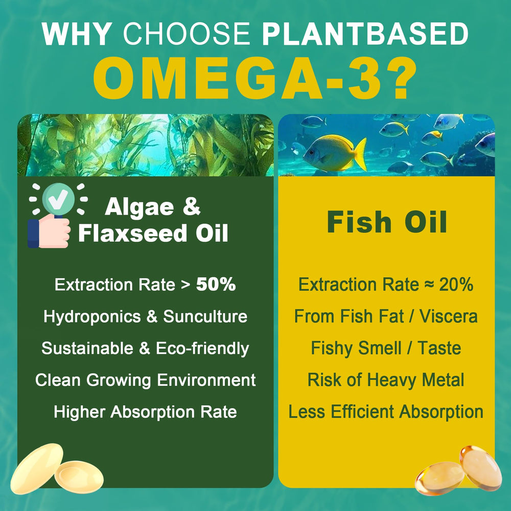 Non-GMO plant-based omega-3 ingredients