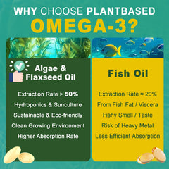 Non-GMO plant-based omega-3 ingredients