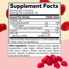 Plant-based organic ingredients icons