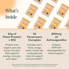 Plant-based protein powder providing energy, recovery and immune support