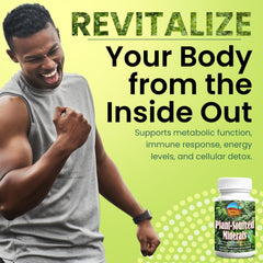 Digestive health support illustration