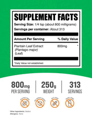 Close-up of Plantain Leaf Extract Powder in a scoop