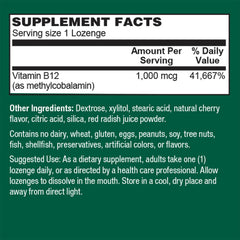 Bottle of PlantFusion B12 Methyl 1000 mcg with 60 lozenges