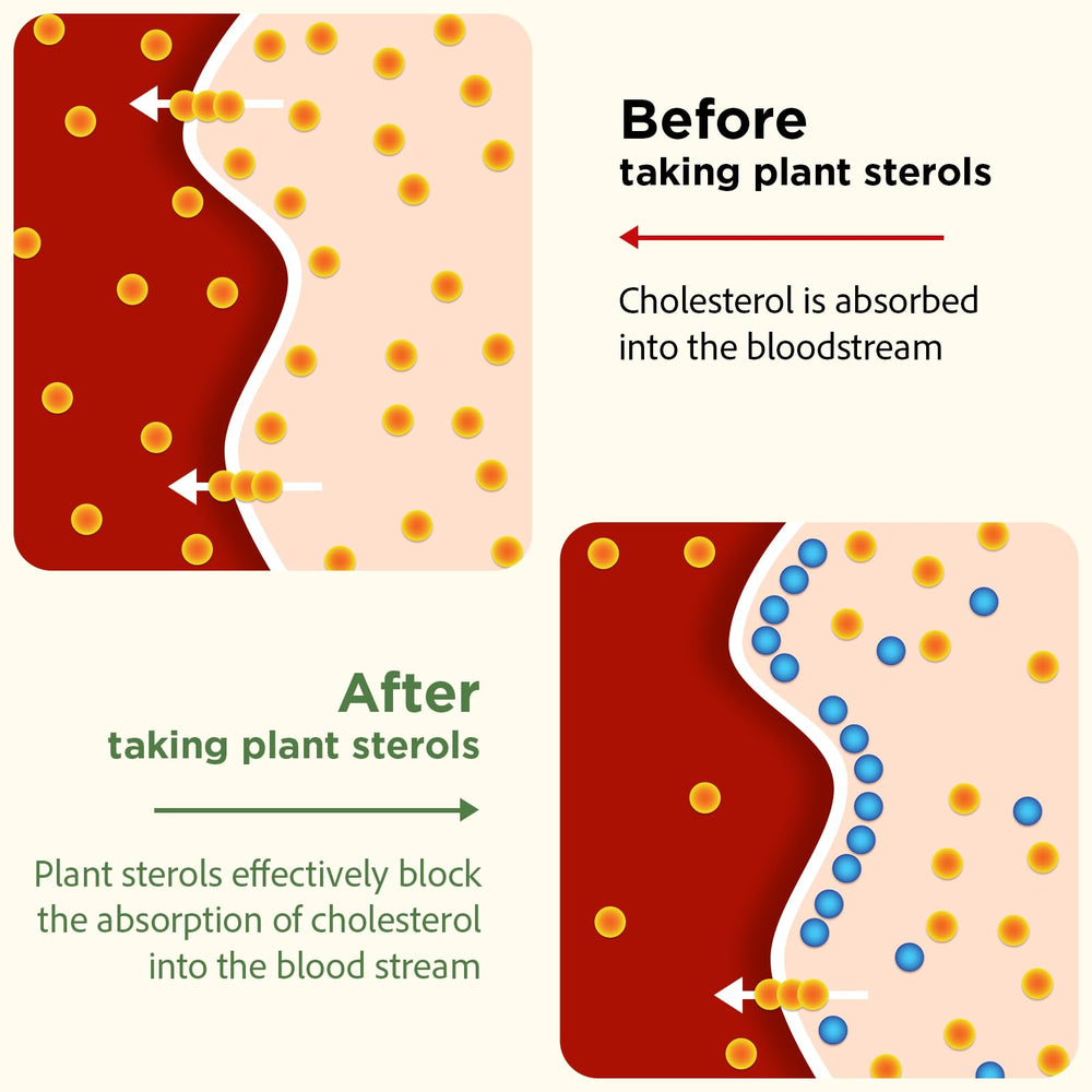 Policosanol 40 mg derived from sugarcane wax