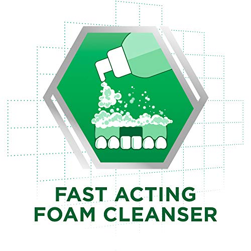 Mint oils close-up on Polident Fresh Cleanse label