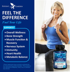 Capsules representing the complete mineral complex