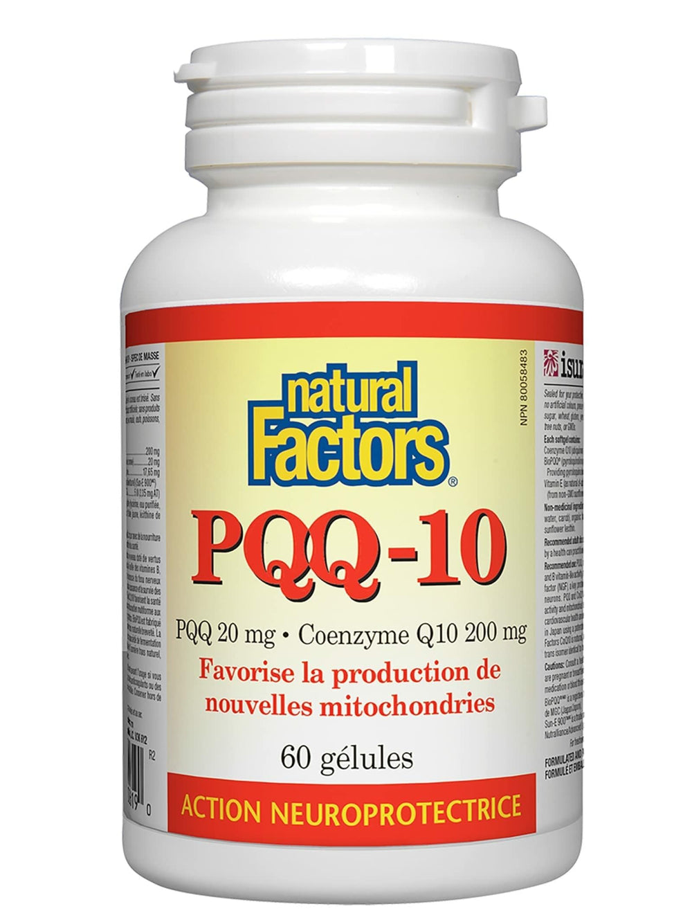 Illustration of PQQ-10 and CoQ10 supporting brain health