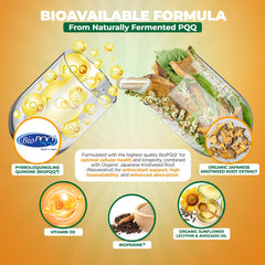 Absorption enhancers: BioPQQ, avocado oil, lecithin