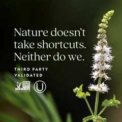 Prebiotic inulin fiber illustration