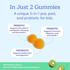 Diagram illustrating prebiotic, probiotic, and postbiotic components