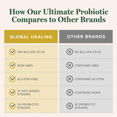 Prebiotics and probiotics blend for gut balance