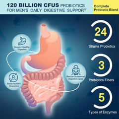 Prebiotics and digestive enzymes supplement imagery